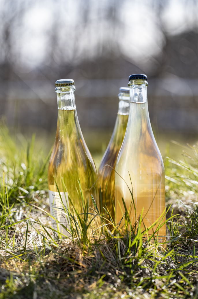 Cider bottles