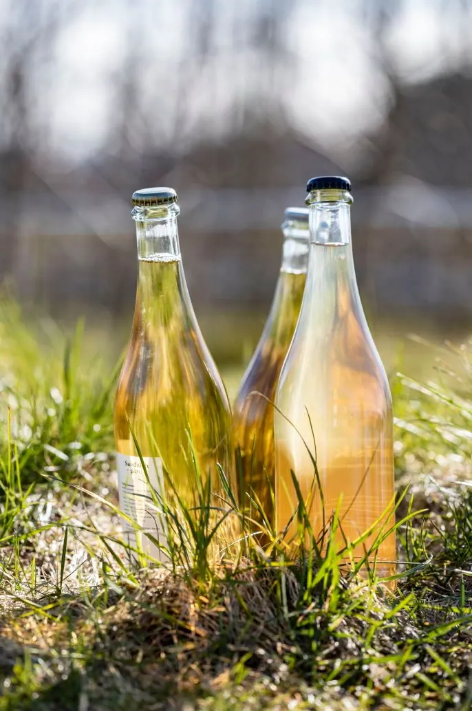 Cider bottles